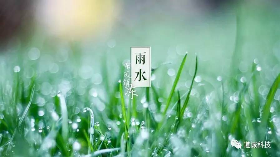 【节气养生】雨水时节话养生