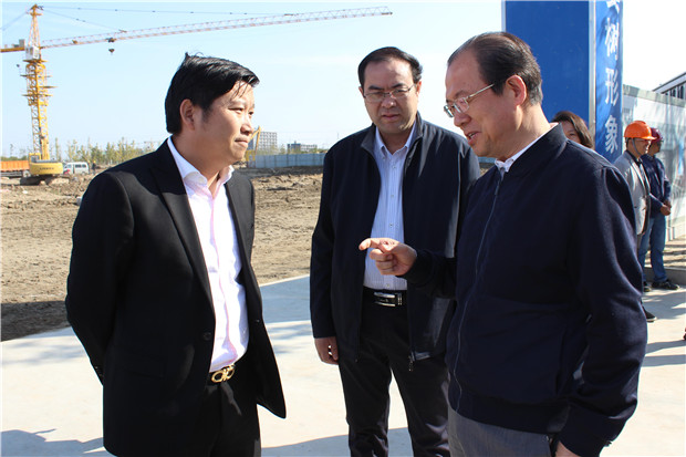 大丰区政府领导班子视察道诚科技施工现场